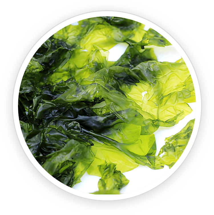 Nori Yaki Extract Nori Yaki Extract