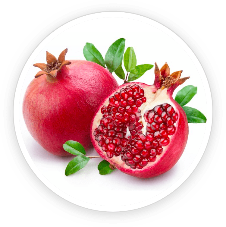 Pomegranate Extract Pomegranate Extract