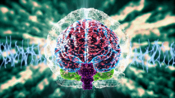 Billionaire Brain Wave theta frequency audio program for wealth manifestation and brain training